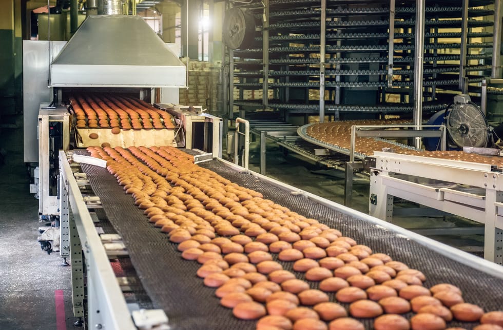 Conveyor belt producing chocolate chip cookies in a factory.