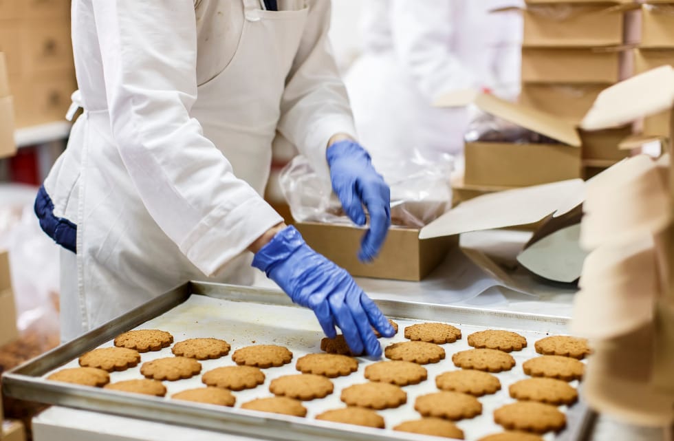 Conveyor belt producing chocolate chip cookies in a factory.